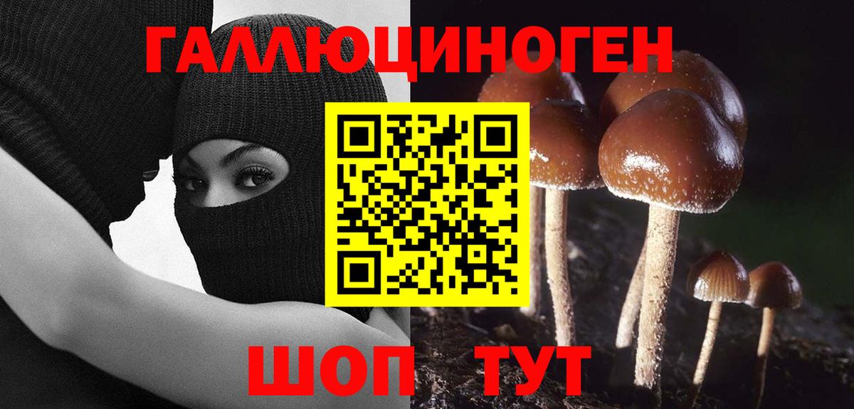 Псилоцибиновые грибы MAGIC MUSHROOMS Кемерово